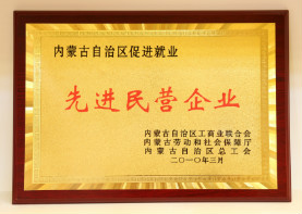 2010年3月,内蒙古自治区促进就业先进民营企业