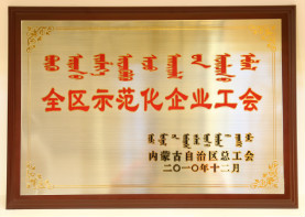 2010年12月,全区示范化企业工会