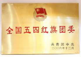 2006年12月,全国五四红旗团委
