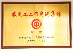2008年11月,农民工工作先进集体